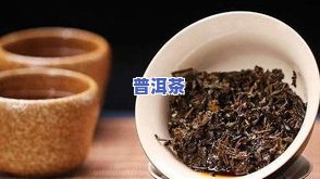 云南七子饼普洱茶价格表：历年款式对比