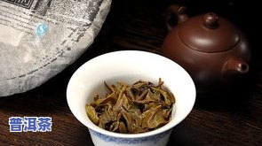 云南七子饼普洱茶易武-云南七子饼普洱茶易武青饼