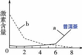 探究茶叶泡水中的形态：颜色、变化及含义