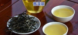 一天喝多少普洱茶合适？生茶熟茶哪个更适合你？普洱茶怎样帮助减肥？女性适合每天饮用多少普洱茶？普洱茶一天喝多少最健康？