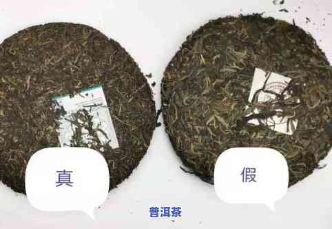 冒充普洱茶-假冒普洱茶