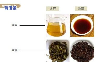 普洱茶发酵工艺流程：从鲜叶到熟茶的全过程图解