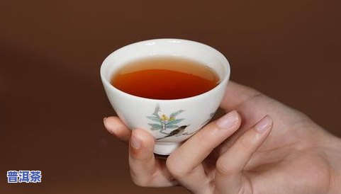 在哪买普洱茶？比较、挑选正品、优惠的好地方！