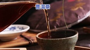 普洱市天星普洱茶业产品：公司概况、茶叶介绍及价格一览