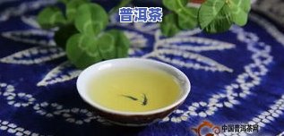 普洱茶品种图解-普洱茶品种图解大全