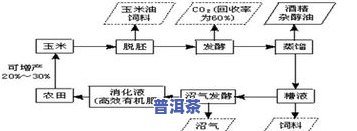 普洱茶制作工艺解说图片大全：流程、步骤及大图展示