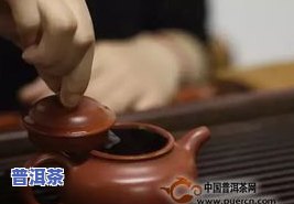 泡普洱茶用什么瓷器更好？女生也适用的选购指南与茶壶推荐