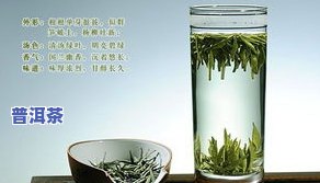 绿茶vs普洱茶-绿茶对比普洱茶