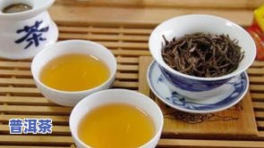 宫廷金芽：什么茶？属于哪种茶？如何冲泡？普洱好喝吗？