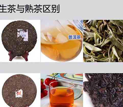 普洱茶无量-普洱茶无量山茶价格