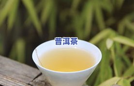 普洱茶无量-普洱茶无量山茶价格