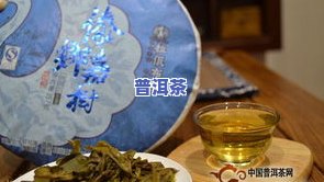 十大普洱茶：权威排行榜，精选好茶不容错过！