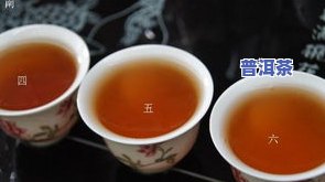 几大普洱茶-几大普洱茶厂