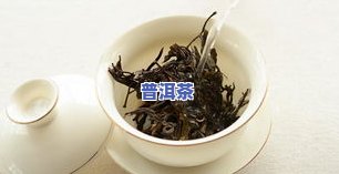 普洱茶叶渣的多种用途及其功效解析