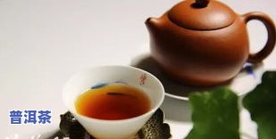 普洱茶佳佳-佳和普洱茶