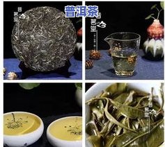 渤海7562普洱茶价格与品质全面解析