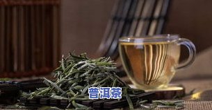 炒茶叶为啥要揉：揭示揉茶背后的科学原理