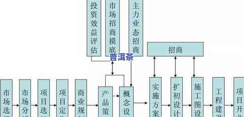 全面解析普洱茶的新工艺及其流程