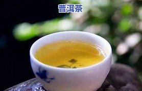 熟普洱茶偏甜吗还是偏咸-熟普洱茶偏甜吗还是偏咸好