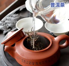 普洱茶泡沫破灭：原因、原理与影响