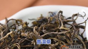 夏至普洱茶-普洱 夏茶