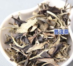 普洱茶月光美人价格：多少钱一斤？云南月光美人是何茶？查看最新价格表！