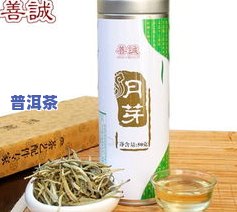 普洱茶月光美人价格：多少钱一斤？云南月光美人是何茶？查看最新价格表！