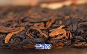 普洱茶可存放多久？时间长短对品质影响如何？