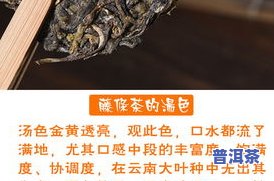 普洱茶月光白的特点及制作工艺