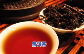 普洱茶汝-普洱 茶