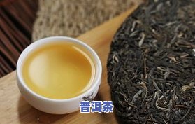 普洱茶汝-普洱 茶