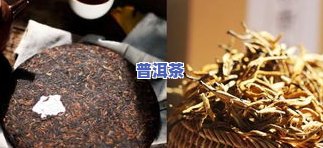 普洱茶金圈指什么：熟悉熟茶金圈的形成与识别方法