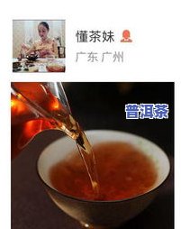 双陈普洱茶多少钱一盒？官网价格、图片全览