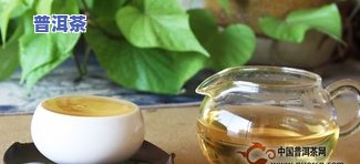 普洱茶的农残留时间：多久能挥发完全？