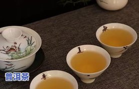 普洱茶春茶揉捏法视频教程大全