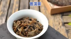 普洱茶底层特点介绍：从茶底看品质与口感