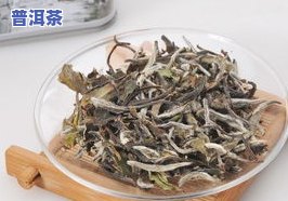 白茶与普洱茶：树的区别？图片解析