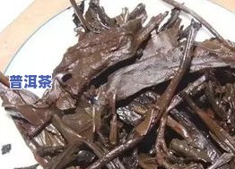 普洱茶底层特点-普洱茶底层特点是什么