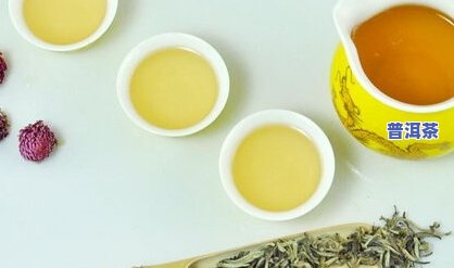 普洱茶底层特点-普洱茶底层特点是什么