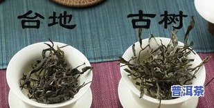 白茶与普洱茶是树的区别-白茶与普洱茶是树的区别吗