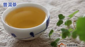 普洱茶本源之味-本源普洱茶价格