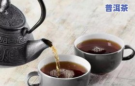 全面了解湛江普洱茶种类：详细介绍、图片展示与全品种概览