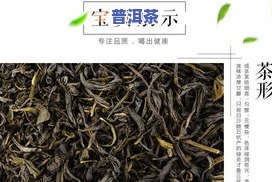 湛江特产茶叶：种类、排名全解析