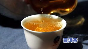 普洱茶是再加工茶吗？详解其定义与起因