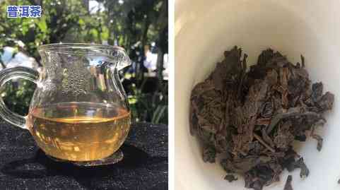 茶水蓝印普洱茶-普洱茶 水蓝印