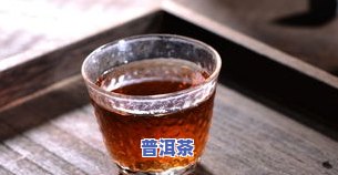 普洱茶详细论述：从历史、制作到品饮全方位解析