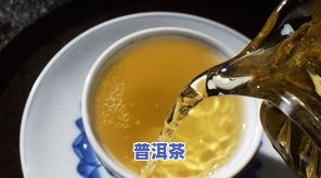 便宜普洱茶是否为假货？网友分享鉴别方法与购买建议