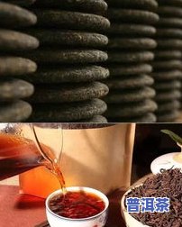 普洱茶采摘手册-普洱茶采摘手册图片