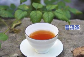 历史上着名的普洱茶-著名的普洱茶