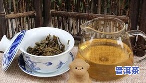 老班章之一村熟茶，探寻老班章之一村熟茶的特别魅力